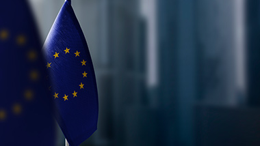 Understanding ‘Fit for 55’