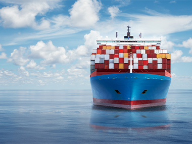 Market Report Week 49 - 03.12.2024