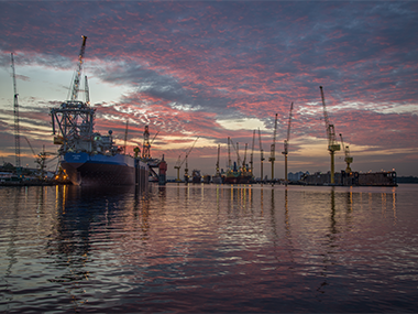 Market Report Week 41 - 08.10.2024