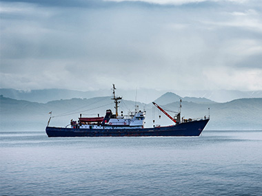 Market Report Week 11 - 11.03.2025