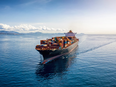 Market Report Week 4 - 21.01.2025