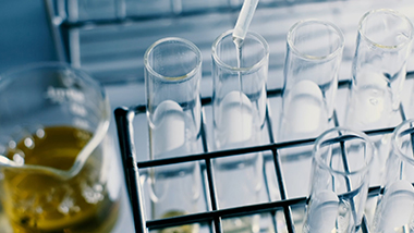 What are biofuels?