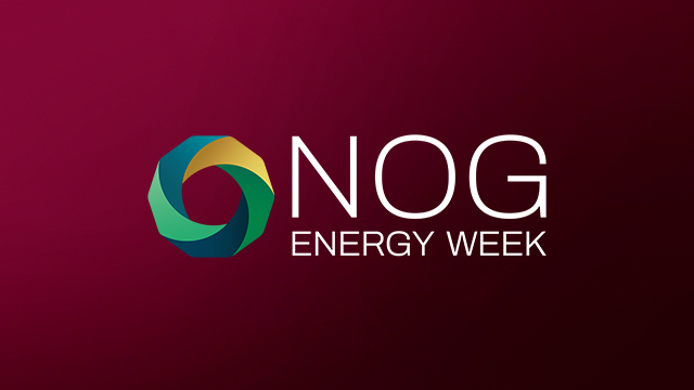 NOG Insights