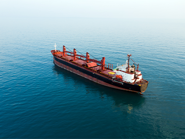 Market Report Week 39 - 24.09.2024