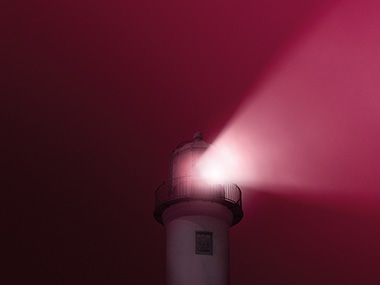 Market Report Week 26 - 17.06.2025