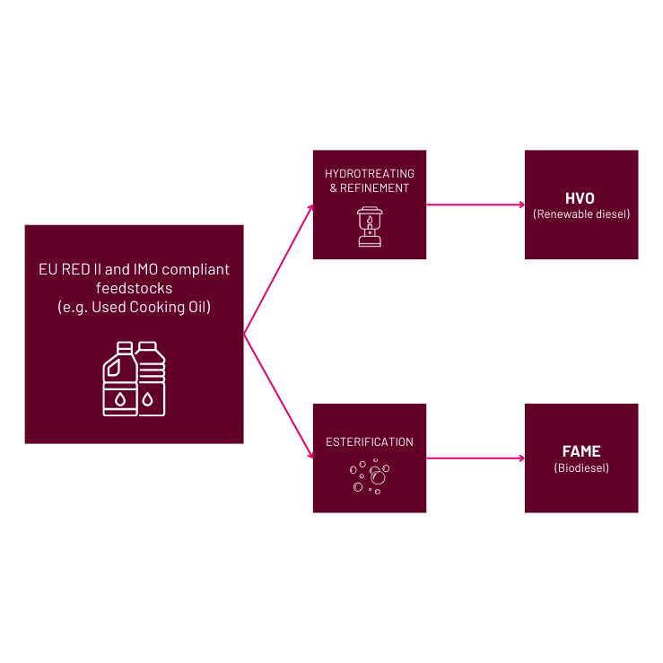 Biofuel Production