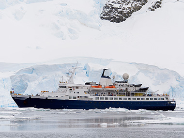 Market Report Week 5 - 28.01.2025