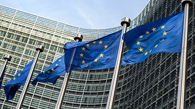 The European Green Deal: A Sustainable Future for Europe